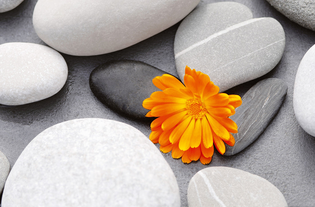 Fototapet Heart Among Stones 115 x 175cm.