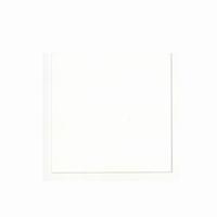 Amsterdam 105 Titanium white120-500ml.