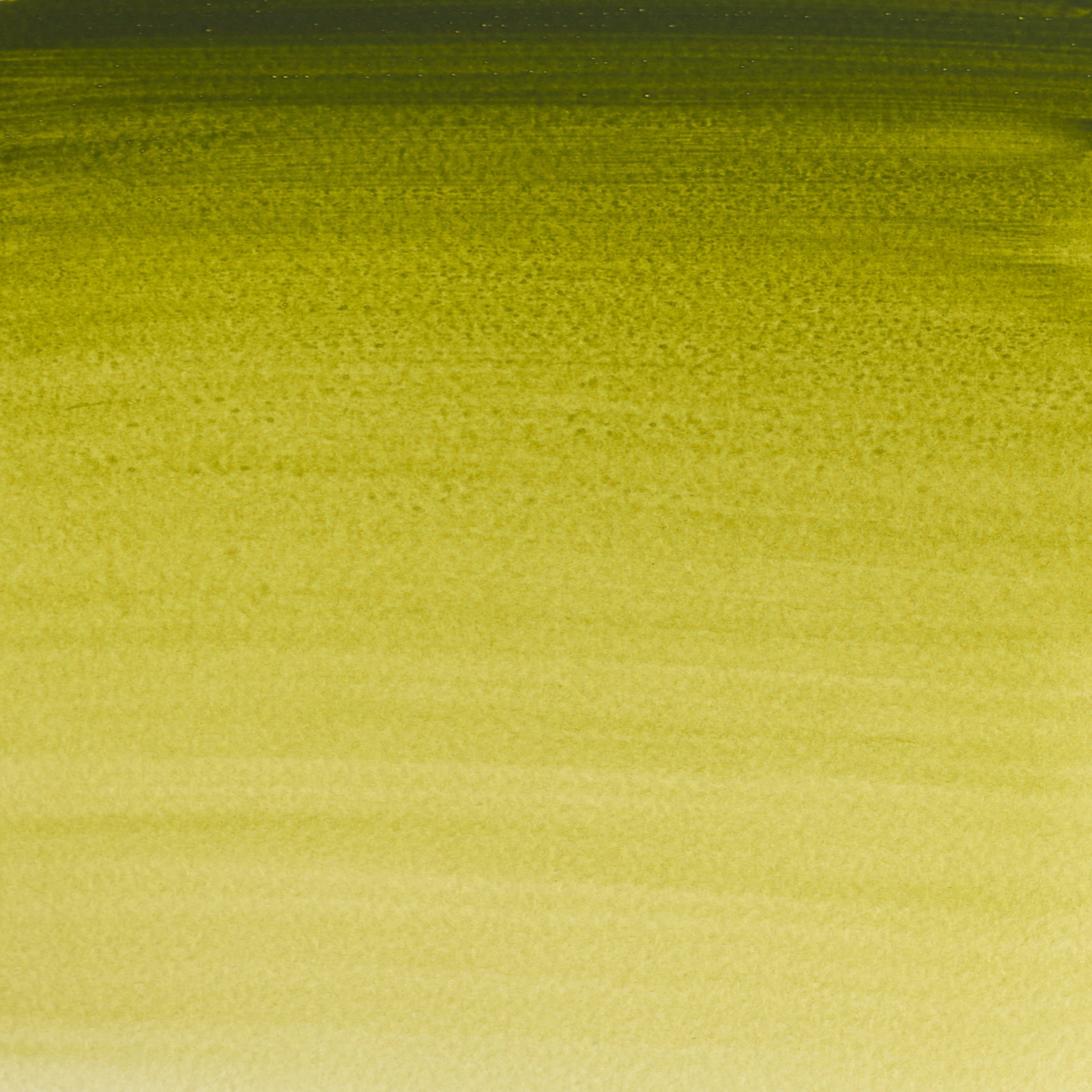 447 Oliven Grøn, Winsor&Newton akvarel