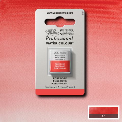 576 Rose Doré, Winsor&Newton akvarel