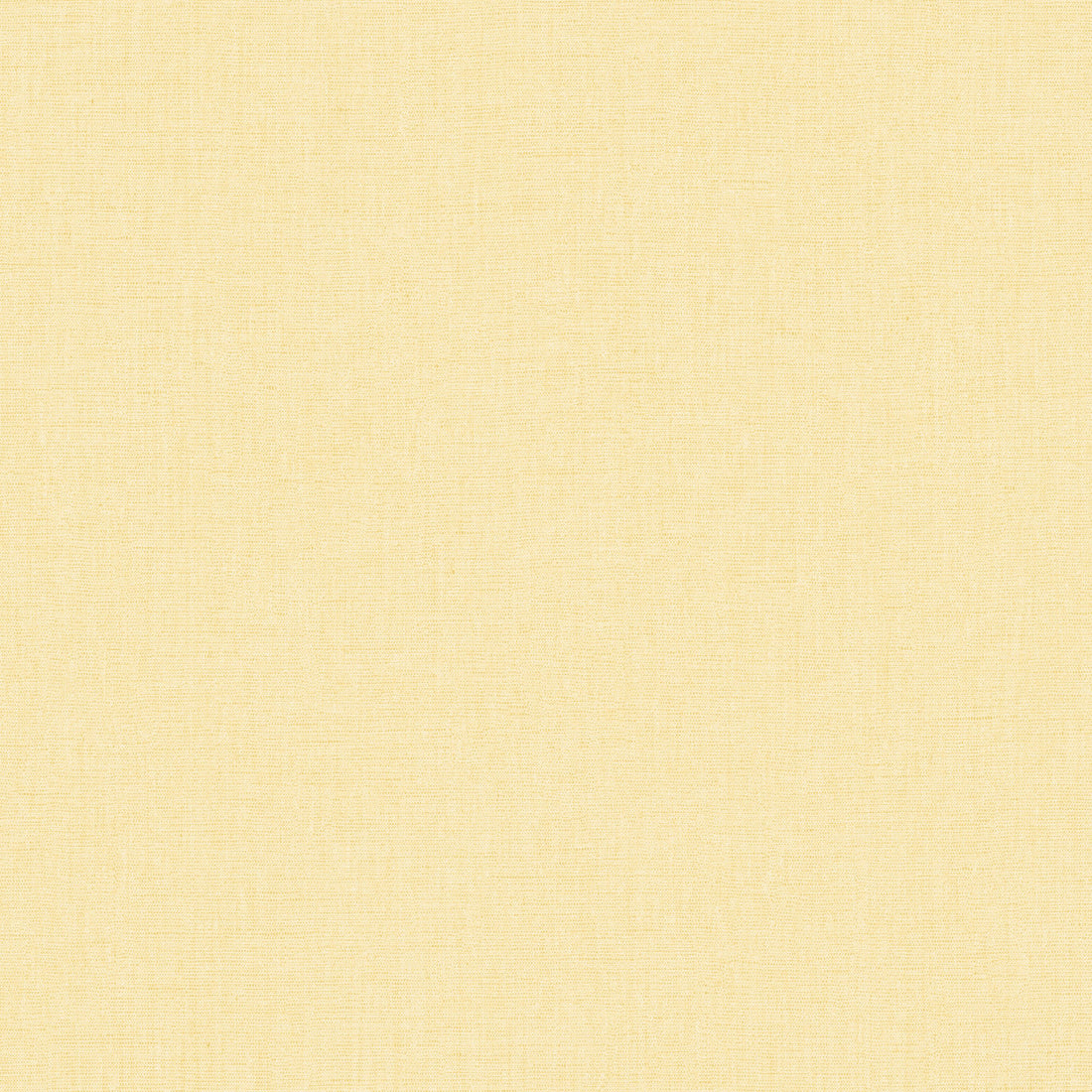 Tapet Caselio Line Up 10322 20 00