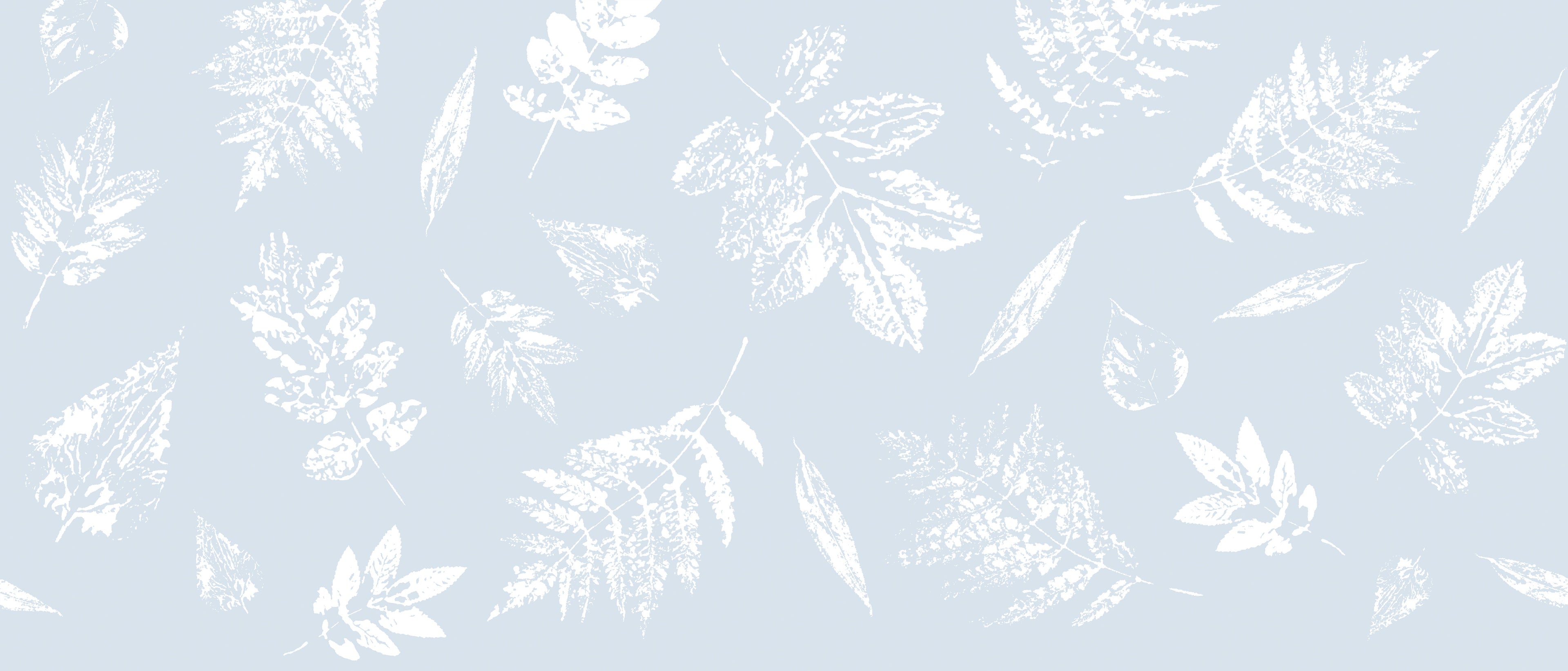 Vinduesfolie static bort Falling Leaves