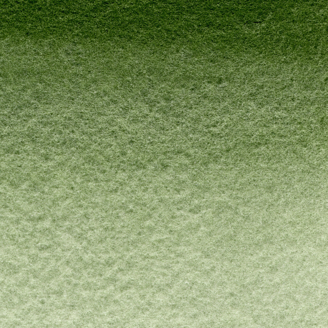 MaimeriBlu Hooker`s Green 325