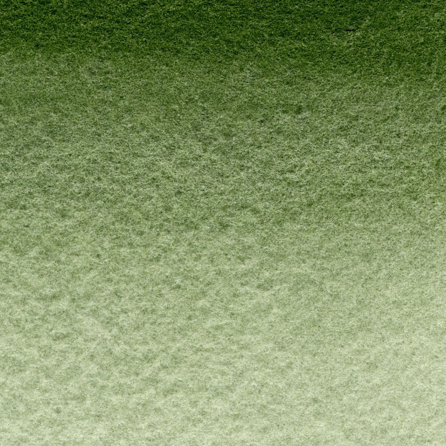 MaimeriBlu Hooker`s Green 325