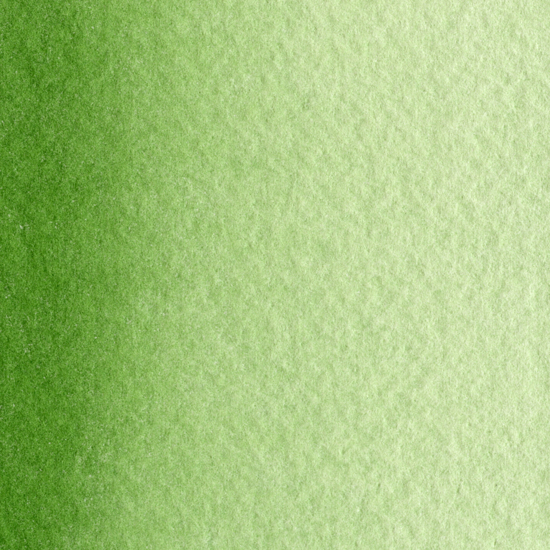 MaimeriBlu Sap Green 358