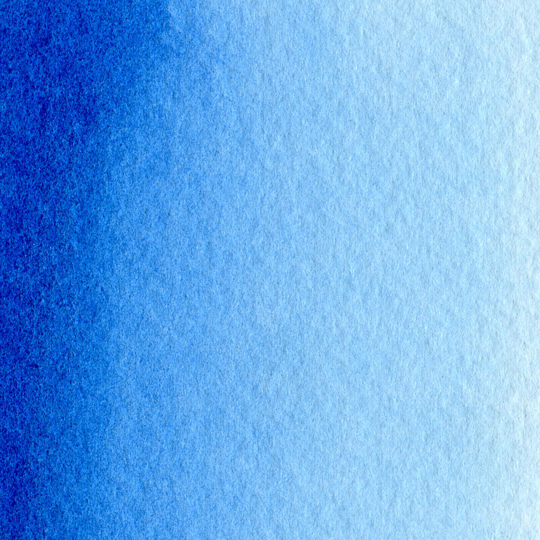 MaimeriBlu Primary Blue - Cyan 400