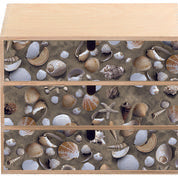 Selvklæbende lakfolie Strandskaller