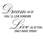 wallstickers - Dream as if you´ll live forever