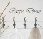 Wallstickers - Carpe Diem