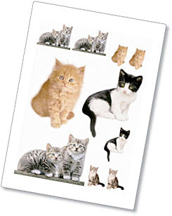 Wallsticker Katte Killinger