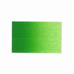 Rembrandt olie 618 Permanent Green Light