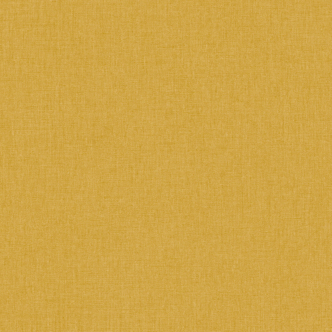 Tapet Caselio Line Up 10322 24 40