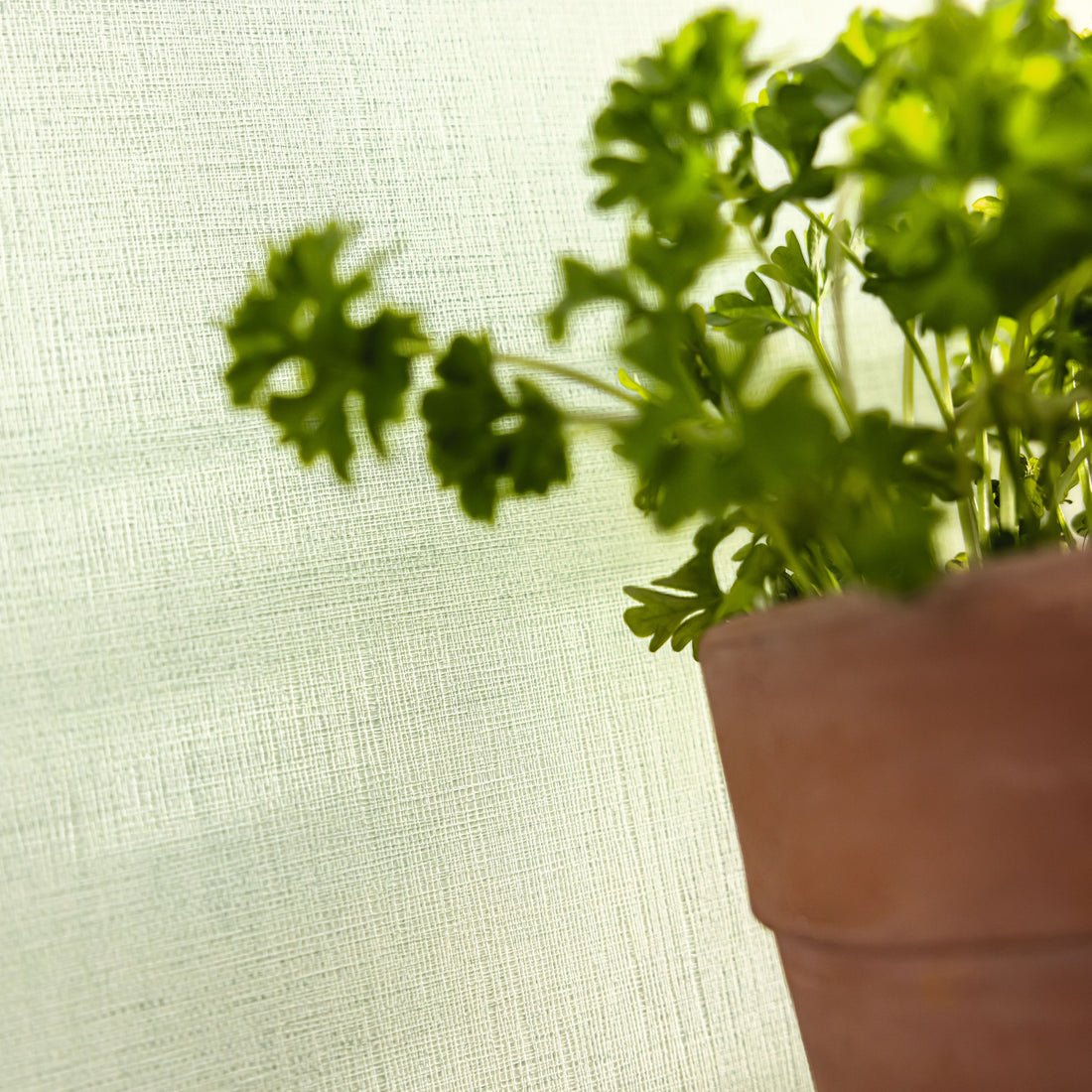 Tapet Caselio Line Up 10622 76 03