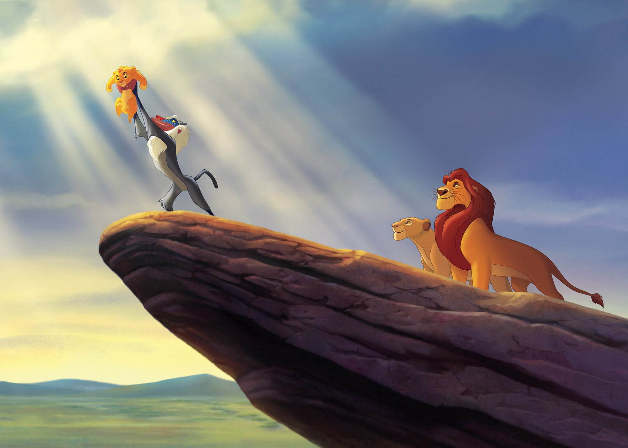 Disney The Lion King The New King Fototapet 350cmx250cm.