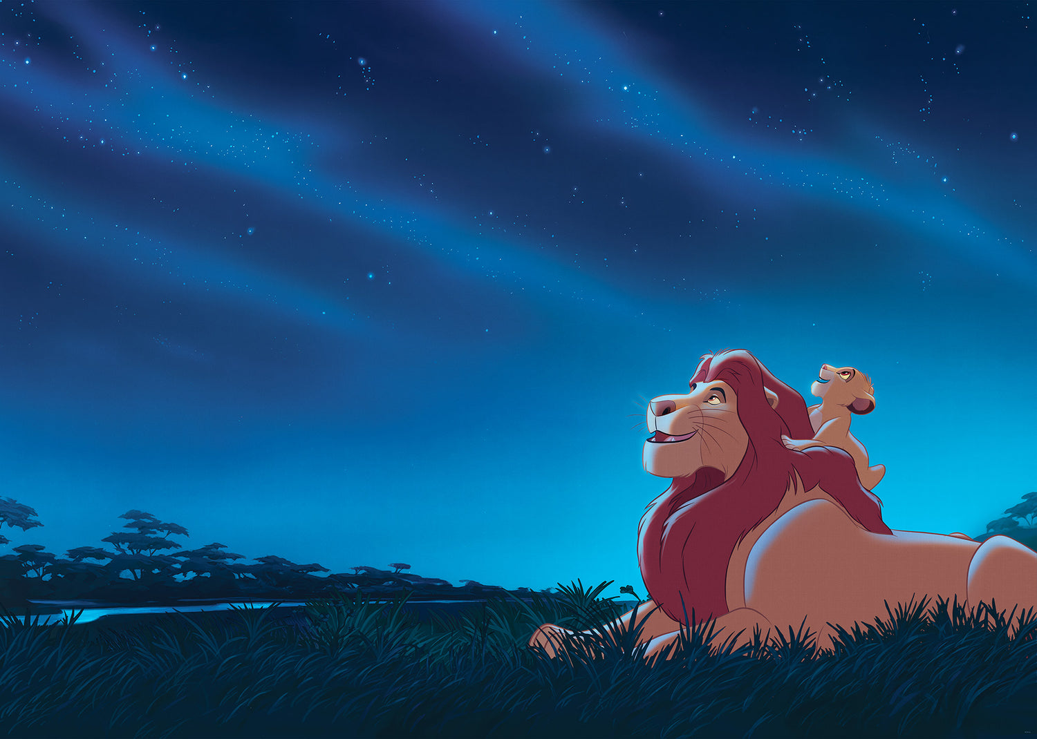 Disney The Lion King Stargazing Fototapet 350cmx250cm.