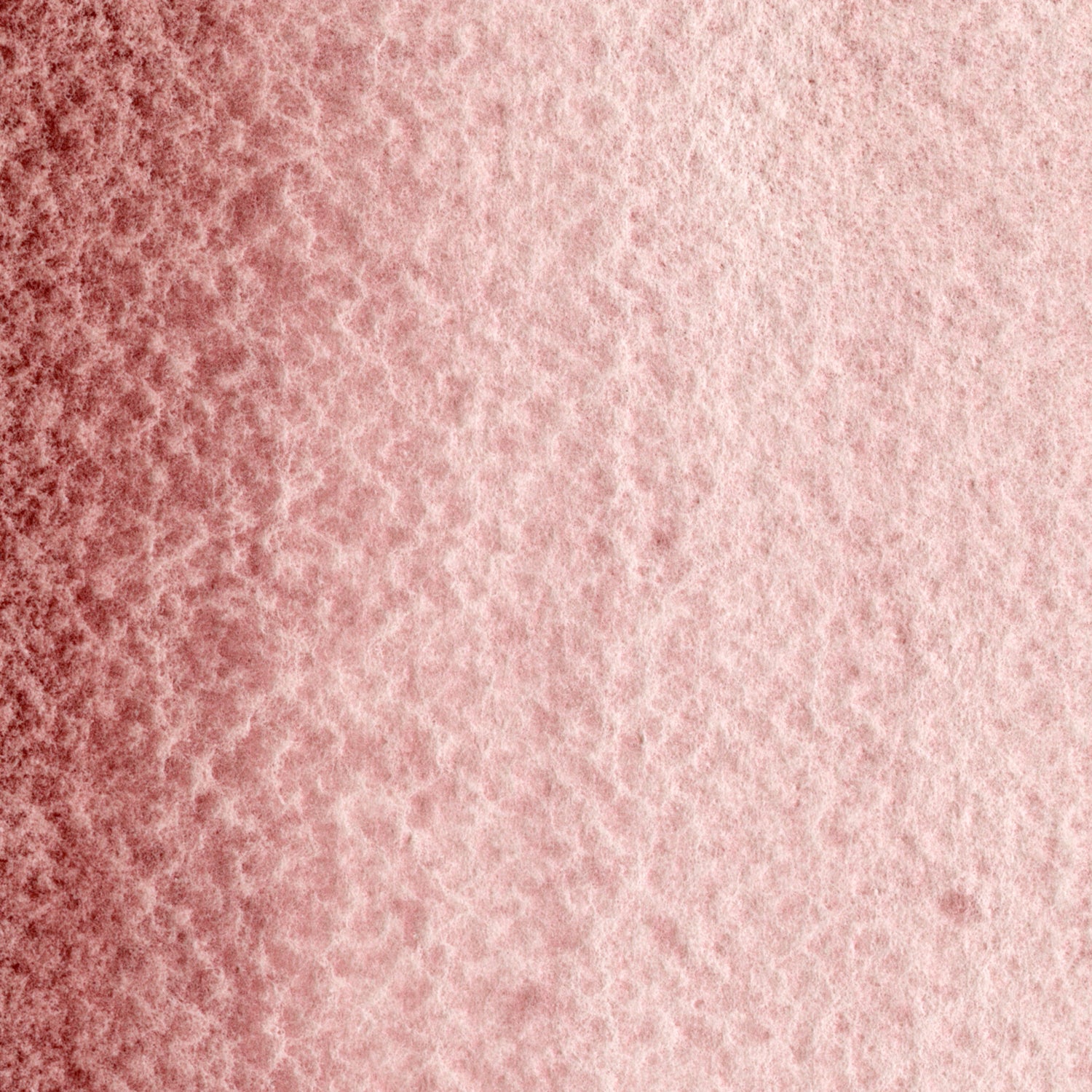 MaimeriBlu Rose Potter 479